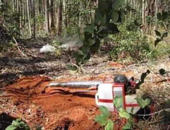 Controle de formigas cortadeiras (saúvas) com  termonebulizadores Pulsfog 