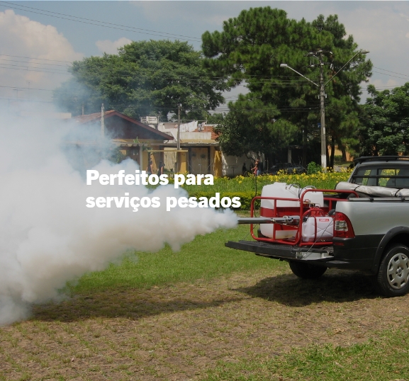 Termonebulizadores Veiculares